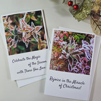 Blank Greeting Card Featuring Pink Dahlia Flowers Original Photography