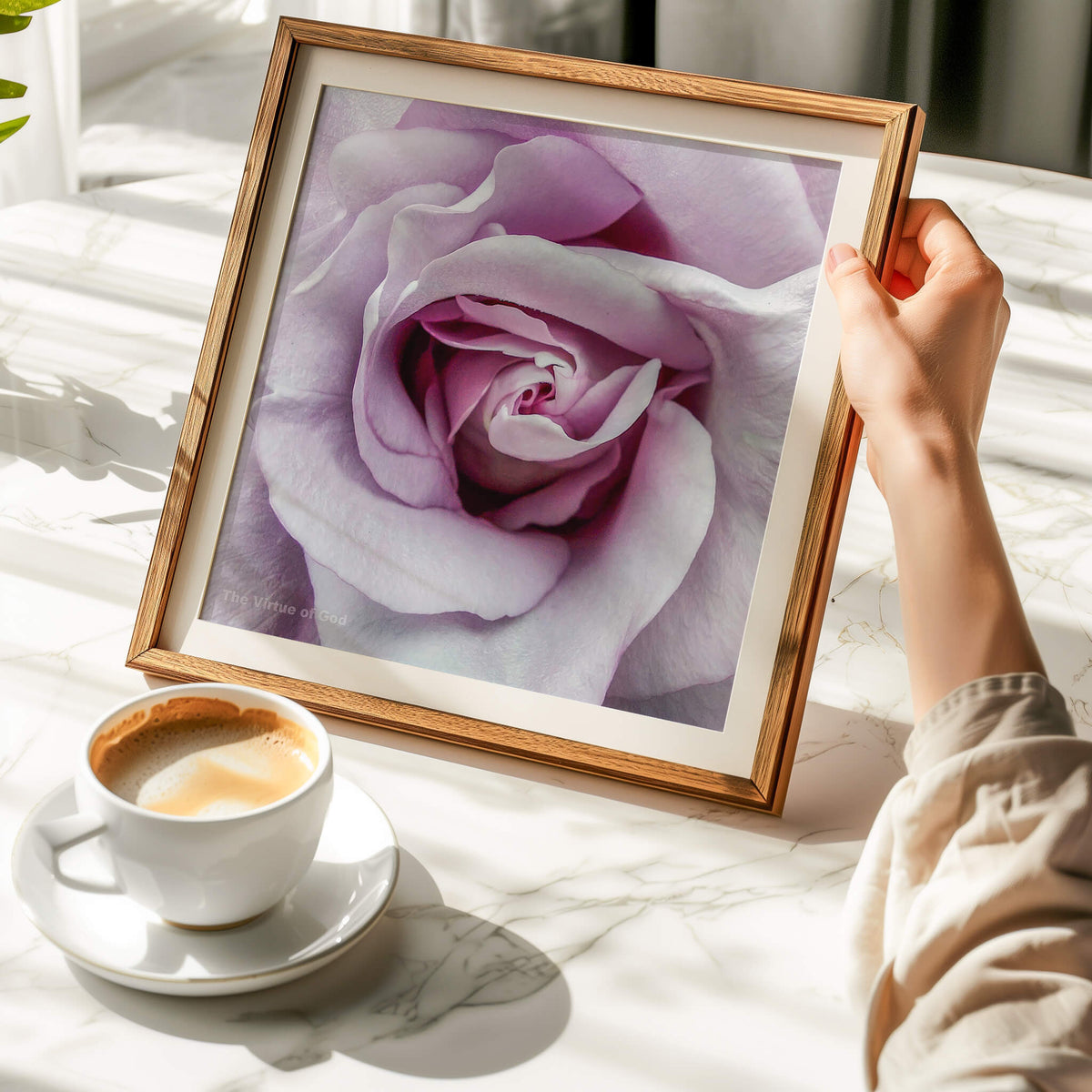 All Prints