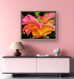 Pink Rose with Raindrops Macro Photography | Authentic Nature Wall Art | Unframed Canvas Horizontal Print | Modern Floral Home Office Decor