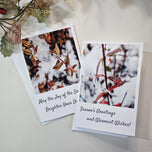 Winter Snowy Foliage Original Photography Greeting Cards | Blank Note Cards Set of 4 with Envelopes | 5.5" × 8.5" Gloss Paper