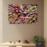 Spring Maple Branches with Raindrops – Tranquil Nature Macro Photography Print | Horizontal  Gallery Wrapped Large Canvas Wall Art
