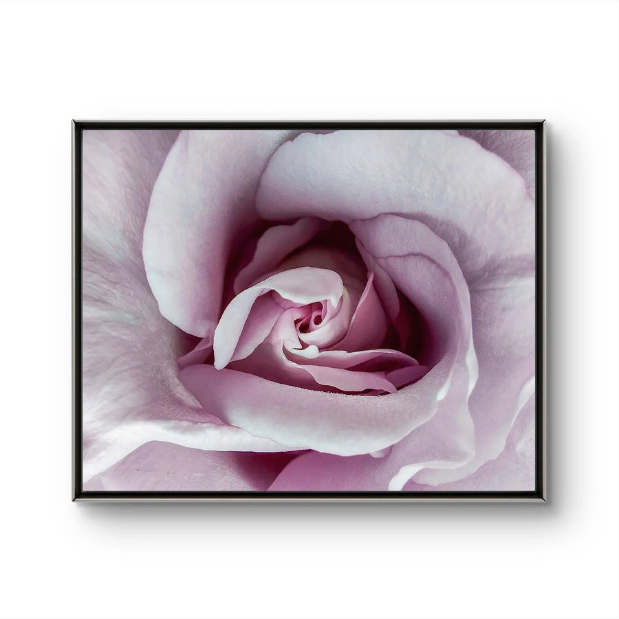Purple Rose Canvas Wall Art