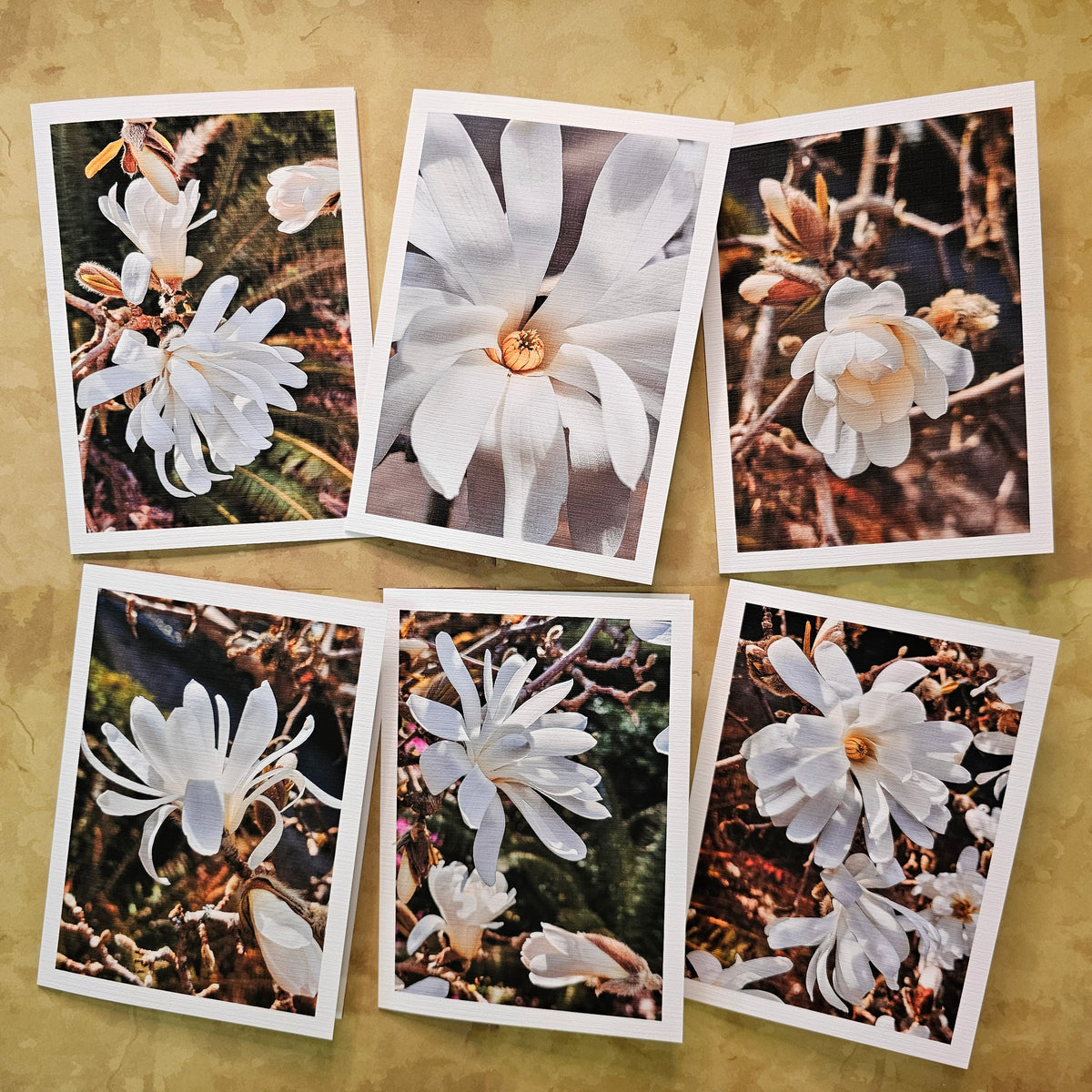 Greeting / Note Cards with Envelopes Featuring White Magnolia Flowers Original Closeup Photography