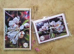 Greeting / Note Cards with Envelopes Featuring Apple Tree Flowers with Raindrops | Original Macro Photography | Blank 4 Cards Set – 4.5”x6.25”, 5.5”x8.5” | Nature Lover Gift