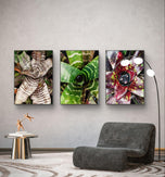 Vibrant Succulent Plants Authentic Closeup Photography Wall Art | Vertical Unframed Canvas Prints Set of 3 | Biophilic Home Office Décor