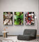 Vibrant Succulent Plants Authentic Closeup Photography Wall Art | Vertical Unframed Canvas Prints Set of 3 | Biophilic Home Office Décor