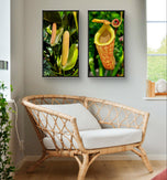 Vibrant Tropical Flowers Closeup Photography Unframed Canvas Set of 3 Prints - Modern Nature Wall Art for Home Office Decor