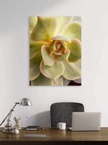 Spring Yellow Succulent Plant  | Nature Macro Photography Print |  Vertical Gallery Wrapped Canvas | Biophilic Style Wall Art