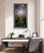 Forest Trees in Sunset | Authentic Nature Photography Prints Set of 3 | Vertical Unframed Canvas | Biophilic Wall Art