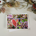 Winter Frost Covered Leaves Original Photography Greeting Cards | Blank Note Cards Set of 4 with Envelopes | 5" × 7" Canvas Paper