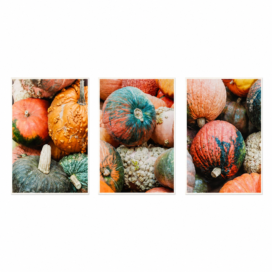 Pumpkin Canvas Wall Art Set of 3