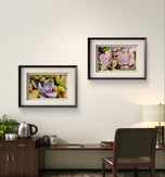 Vibrant Succulents Macro Photography by The Virtue of God | Unframed Horizontal Canvas Set of 2 Prints | Aesthetic Wall Art Home Décor