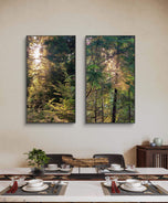 Forest Trees in Sunset | Authentic Nature Photography Prints Set of 3 | Vertical Unframed Canvas | Biophilic Wall Art