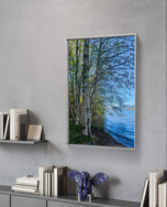 Tranquil Birch Trees by Mountain Lake Original Photography Wall Art Décor for Living Room, Office, or Cabin-Vertical Unframed Canvas Print