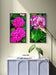 Pink Hydrangea Close-Up Nature Photography | Vertical Unframed Canvas Wall Art Set of 3 | Elegant Floral Print for Home, Office, or Gift