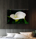 White Arum Lily with Raindrops Closeup Photography | Horizontal Gallery Wrapped Canvas Nature Wall Art for Biophilic Style Decor