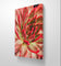 Red Succulents with Raindrops | Macro Photography Print | Vertical Gallery Wrapped Canvas Wall Art for Home & Office