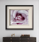 Purple Rose Authentic Macro Photography Horizontal Print | Unframed Canvas Wall Art | Modern Nature Home & Office Decor
