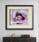 Purple Rose Authentic Macro Photography Horizontal Print | Unframed Canvas Wall Art | Modern Nature Home & Office Decor