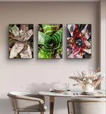 Vibrant Succulent Plants Authentic Closeup Photography Wall Art | Vertical Unframed Canvas Prints Set of 3 | Biophilic Home Office Décor