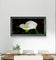 White Arum Lily with Raindrops | Authentic Nature Closeup Photography | Unframed Canvas Horizontal Print | Biophilic Wall Art Style