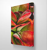 Red Succulents with Raindrops | Vertical Gallery Wrapped Canvas Print | Nature Photography Wall Art for Home & Office