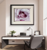 Purple Rose Authentic Macro Photography Horizontal Print | Unframed Canvas Wall Art | Modern Nature Home & Office Decor