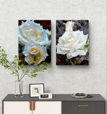 Pale Cream White Rose Canvas Prints Set of 4 | Authentic Nature Closeup Photography | Unframed Botanical Wall Art | Modern Home Office Decor | Vertical & Horizontal Orientations