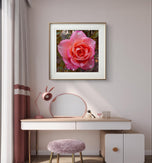 Pink Rose Flowers with Raindrops-Authentic Nature Macro Photography-Unframed Canvas Square 3 Prints Set-Modern Wall Art Home Décor Pictures