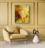 Yellow Rose Macro Photography Print | Authentic Nature Wall Art | Unframed Canvas Vertical Print | Modern Home Office Decor