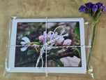 Greeting / Note Cards with Envelopes Featuring Apple Tree Flowers with Raindrops | Original Macro Photography | Blank 4 Cards Set – 4.5”x6.25”, 5.5”x8.5” | Nature Lover Gift