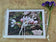 Greeting / Note Cards with Envelopes Featuring Apple Tree Flowers with Raindrops | Original Macro Photography | Blank 4 Cards Set – 4.5”x6.25”, 5.5”x8.5” | Nature Lover Gift
