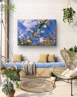 White Spring Blossom with Raindrops | Macro Floral Photography on Horizontal Wrapped Canvas | Modern Botanical Wall Art for Home & Office Décor