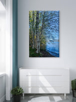 Tranquil Birch Trees by Mountain Lake | Authentic Nature Photography | Vertical Gallery Wrapped Canvas | Living Room, Office, or Cabin Wall Art
