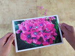Greeting / Note Cards with Envelopes Featuring Vibrant Hydrangea Blossoms Original Photography | Blank 4 Cards Set 6.25x4.5 in, 8.5x5.5 in