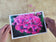 Greeting / Note Cards with Envelopes Featuring Vibrant Hydrangea Blossoms Original Photography | Blank 4 Cards Set 6.25x4.5 in, 8.5x5.5 in