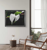 White Leaves with Raindrops Close-Up Nature Photography Print | Horizontal Unframed Canvas Wall Art for Home, Office, or Gift