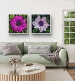 Vibrant Flowers with Raindrops Photography | Set of 4 Square Unframed Canvas Prints | Nature Wall Art for Home & Office