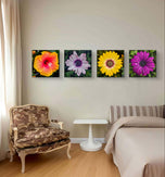 Vibrant Flowers with Raindrops Photography | Set of 4 Square Unframed Canvas Prints | Nature Wall Art for Home & Office