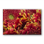 Red Floral Canvas Wall Art | Spring Gerbera Macro Photography | Horizontal Gallery Wrapped Print | Ready to Hang