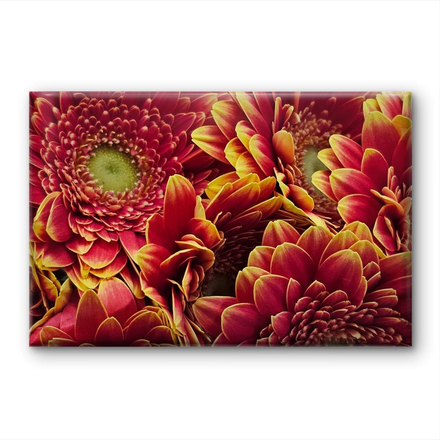 Red Floral Canvas Wall Art