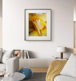 Yellow Rose Macro Photography Print | Authentic Nature Wall Art | Unframed Canvas Vertical Print | Modern Home Office Decor