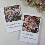 Winter Frost Covered Leaves Original Photography Greeting Cards | Blank Note Cards Set of 4 with Envelopes | 5" × 7" Canvas Paper