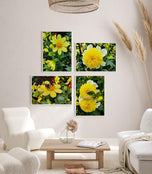 Yellow Dahlia Flowers Closeup Photography Unframed Canvas Set of 4 Prints - Modern Nature Wall Art for Home Office Decor