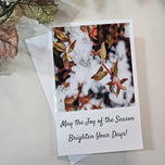 Winter Snowy Foliage Original Photography Greeting Cards | Blank Note Cards Set of 4 with Envelopes | 5.5" × 8.5" Gloss Paper