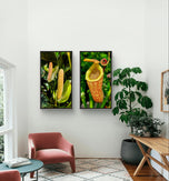 Vibrant Tropical Flowers Closeup Photography Unframed Canvas Set of 3 Prints - Modern Nature Wall Art for Home Office Decor