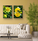 Yellow Dahlia Flowers Closeup Photography Unframed Canvas Set of 4 Prints - Modern Nature Wall Art for Home Office Decor