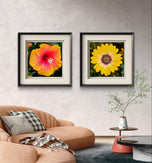Vibrant Flowers with Raindrops Photography | Set of 4 Square Unframed Canvas Prints | Nature Wall Art for Home & Office