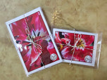 Greeting / Note Cards with Envelopes Featuring Red Tulip Flowers Original Macro Photography | Blank Floral Cards Set of 4
