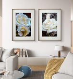 Pale Cream White Rose Canvas Prints Set of 4 | Authentic Nature Closeup Photography | Unframed Botanical Wall Art | Modern Home Office Decor | Vertical & Horizontal Orientations